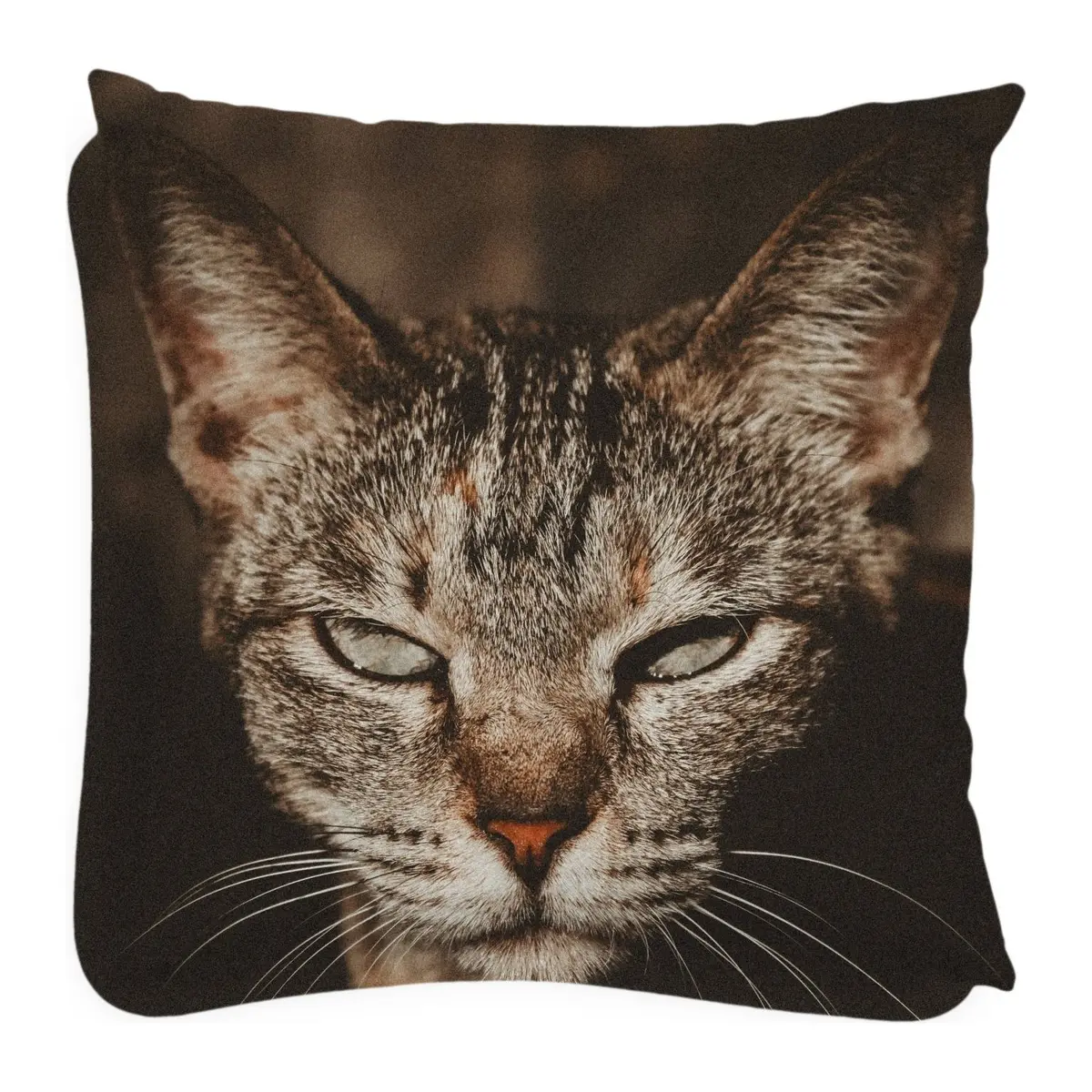 Large square cushion printed with a close-up of a tabby cat